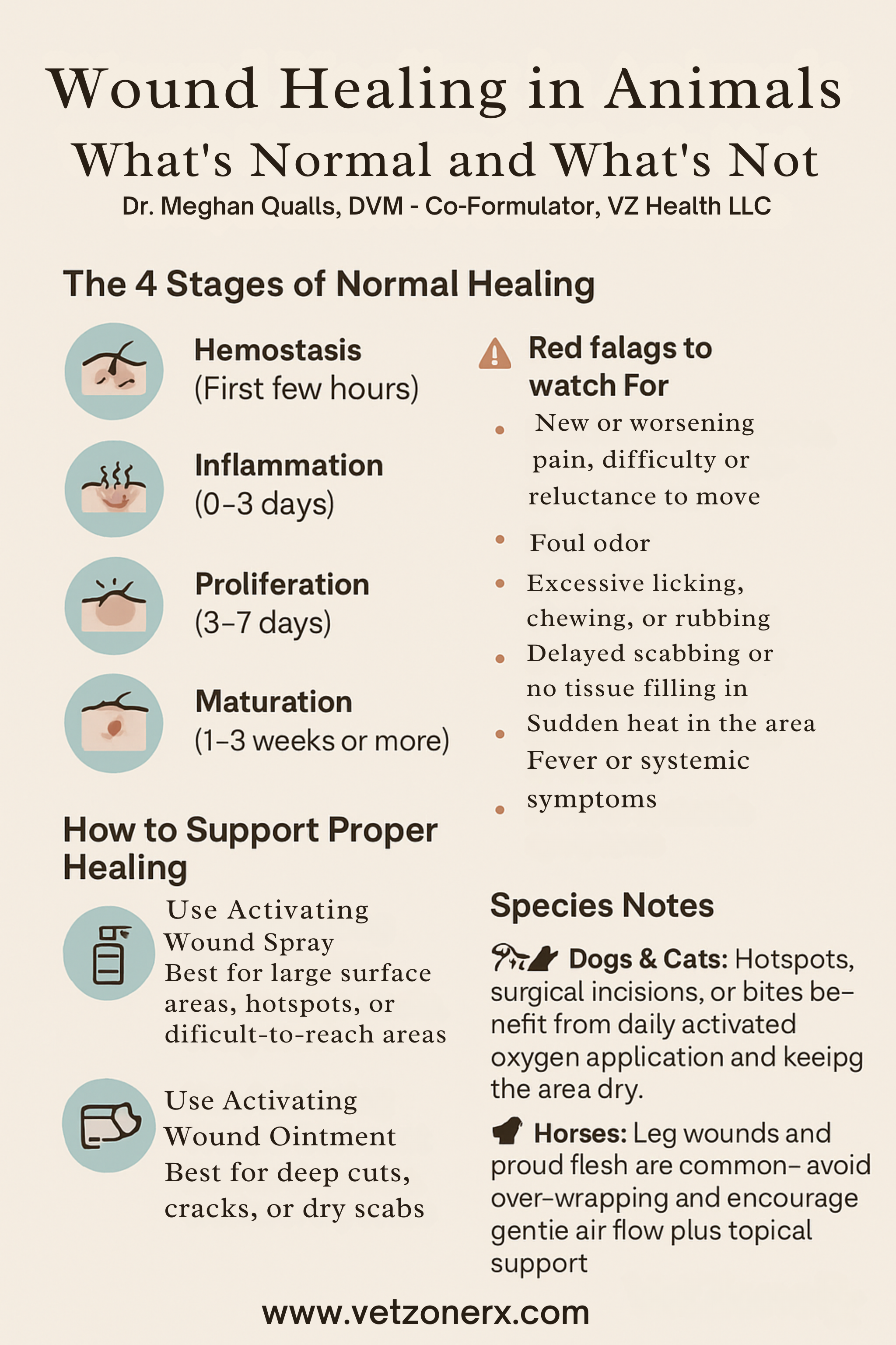 Wound Healing in Animals: What’s Normal and What’s Not