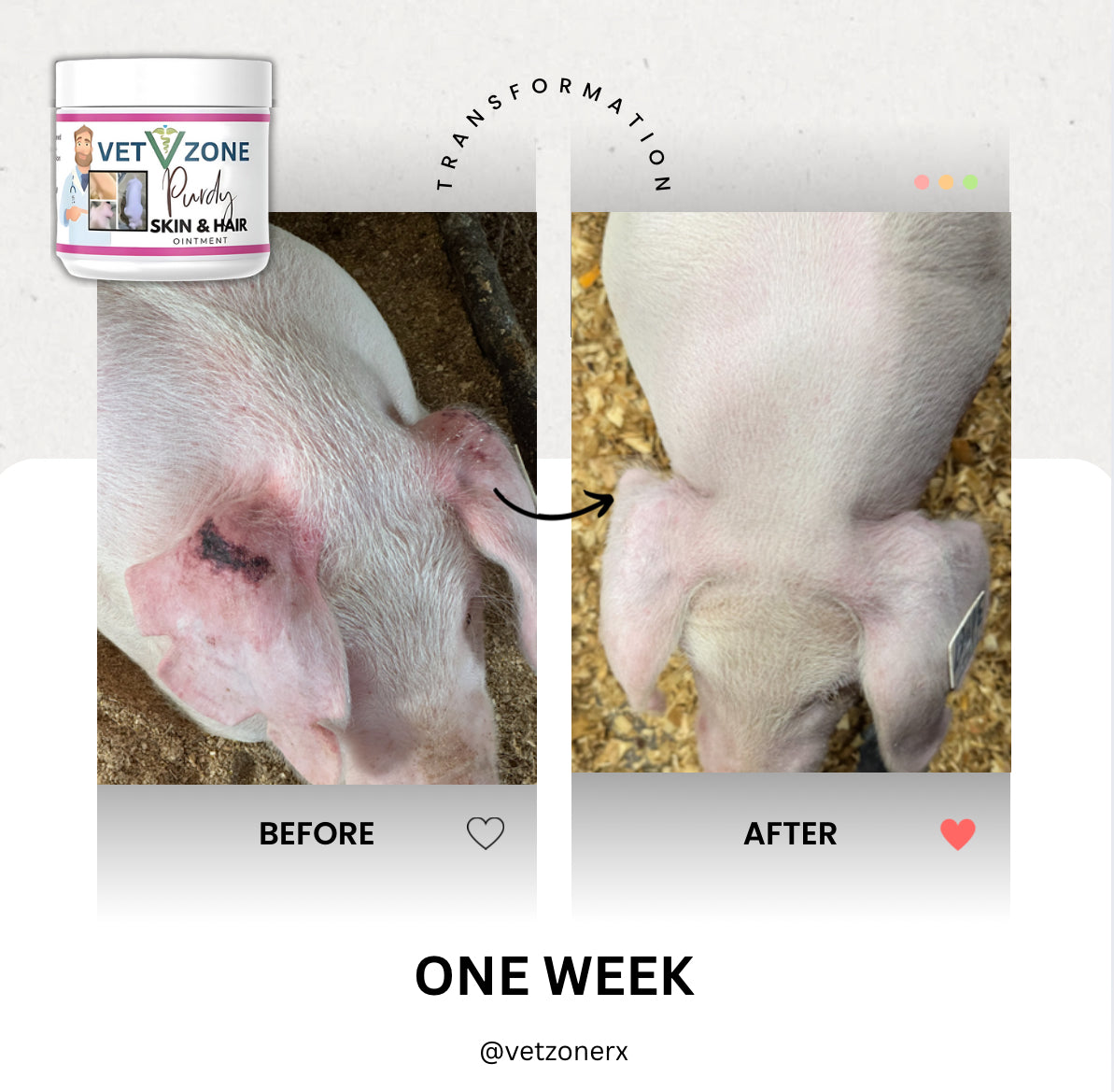 VetZone® Purdy Skin & Hair Ointment