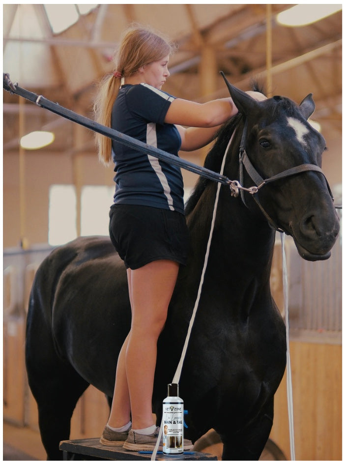 VetZone® La’Longer Mane & Tail