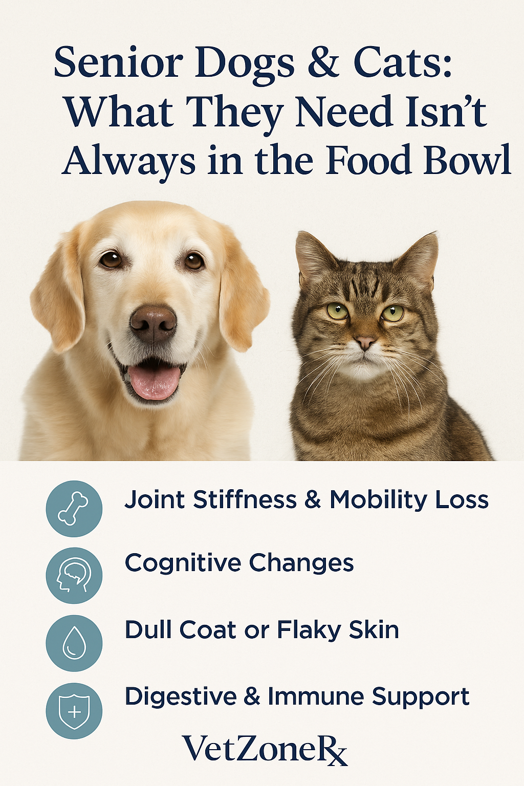 Senior Dogs and Cats: What They Need Isn’t Always in the Food Bowl