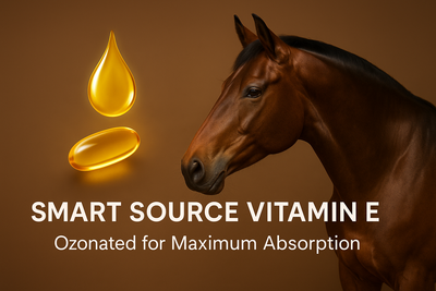 VetZone® SmartSource Vitamin E – 1000 IU/mL Bioavailable Supplement - 96 day supply