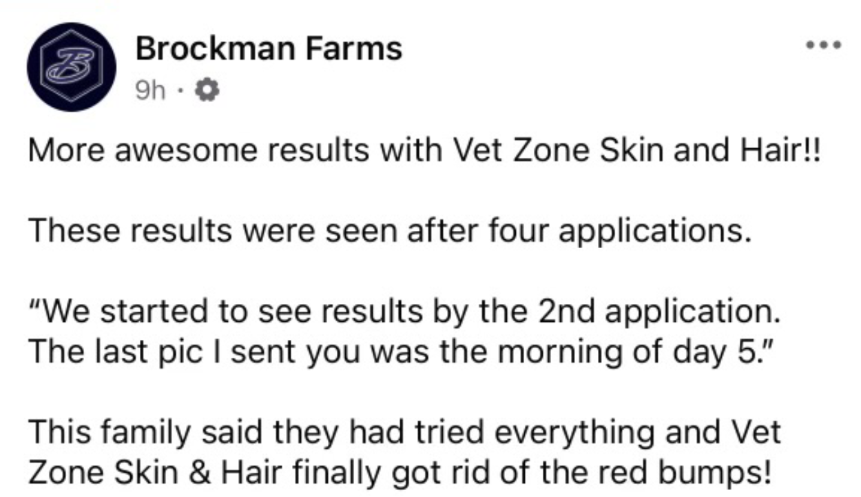 Close-up of Purdy Spray review show pig – ozonated wound spray for animals by VetZoneRx