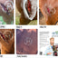ozonated-wound-spray-vetzonerx-before-after.jpg